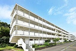 ビレッジハウス下九沢 8-103