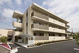 エバーグリーン 104