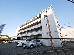 メゾン南片江 207