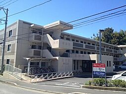 伊勢原市高森４丁目