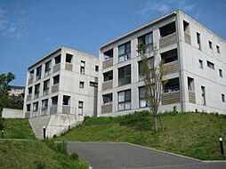 ビ・ザ・ビ・ランドII E302