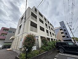 コモド　プレッソ1 301