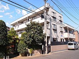 ラフィーヌ・青柳I