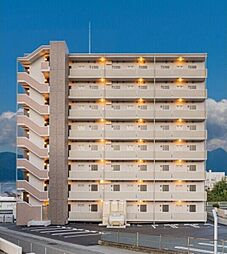 ヴィガラスT 503