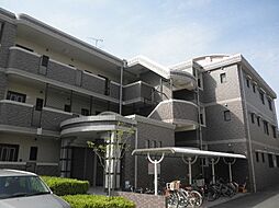 エクセレントパレス城南 303