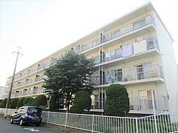 あべりあ（アベリア）