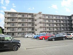 グランドステータス相武台