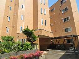 南町フラッツ 104