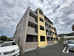 ソレアードボニート 305