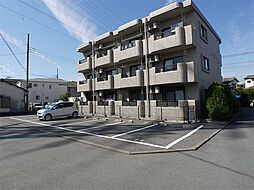 ルーシッドコート 107