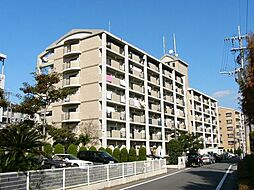 レスピーザ53 303