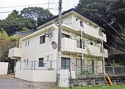 ＦＯＲＥＳＴ　ＤＡＺＡＩＦＵ 303