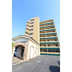 ゴールドウィン湘南