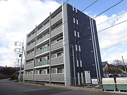 チェスターコート 501