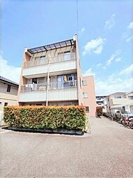 エヴァーグリーン 206