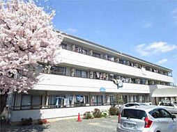 サンヒルズ大塚 107