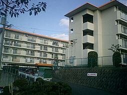 小笹カステリアＣ棟 404