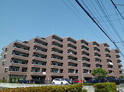 ソーニ・ドゥ・オーロ