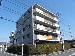 サンヒルズ国立