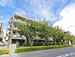 コーボック飛田給II 213