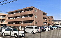 パディポンド 0304