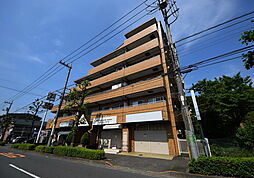 シャトルブラウンＡ 0210