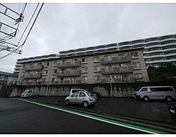 ボンエルフミマツ