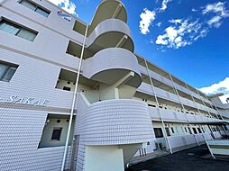 ユーミーＳＡＫＡＥ 305