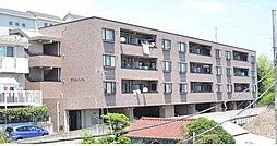 アルトハイム 302