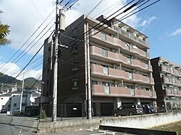 アネックスIII 301