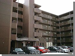 ＡＰＥＸ ＦＬＡＴ Ｒ