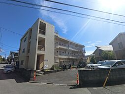 安藤マンション 103
