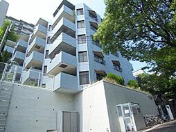 チェリベ輝国 205
