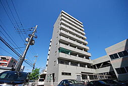 クリザンテェーモ 803