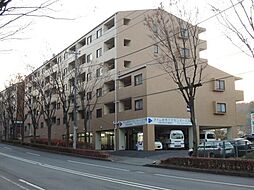 シルクフォルム 204