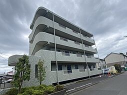 コンフィアンス 305