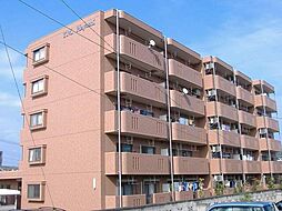 Ｙ．Ｍ．Ｈａｙａｓｈｉ 304