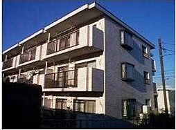 ウイスタリア54 305