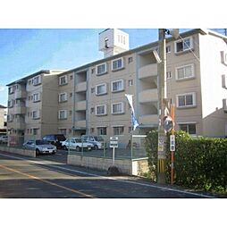 Ｆｌｏｗｅｒ’24 206