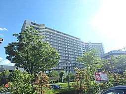 ロイヤルパークス若葉台 210
