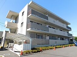 エバーグリーン