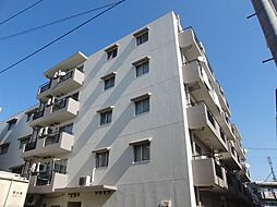 アネクスドルム 305