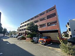 次郎丸ヴィレッタ 208