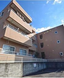 ミューゼタイセイ