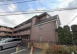 ルブニール稲田堤 203