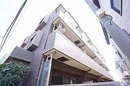 エバーグリーン