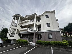 ＭＳビューラー 203