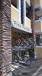 ファインフォレスト