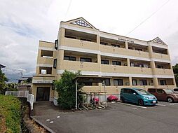 ロイヤルガーデン杉山 305