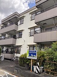 セントラルコーポ フェニックス